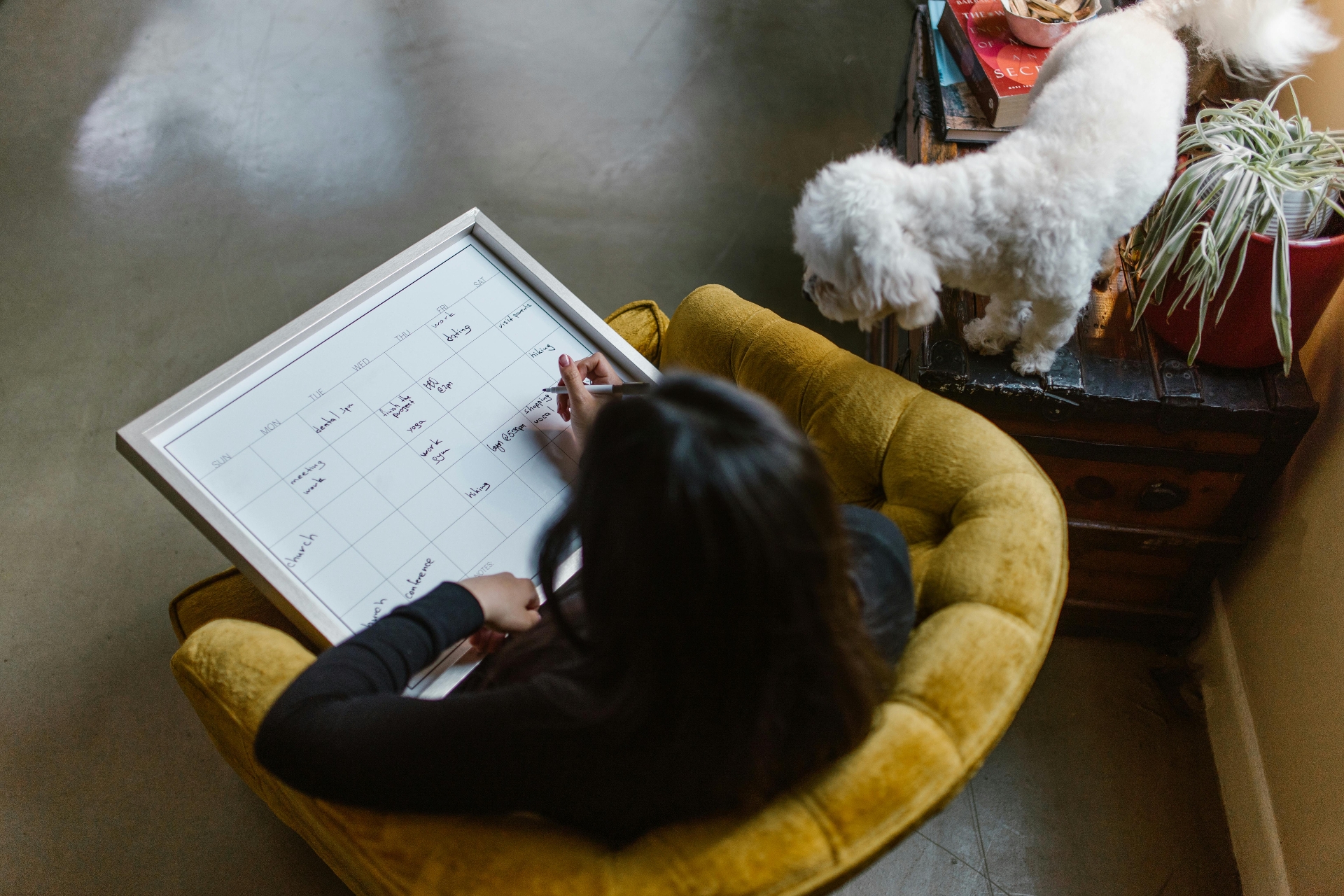 Vrouw plant schema op whiteboard - sociaal plan bij reorganisatie